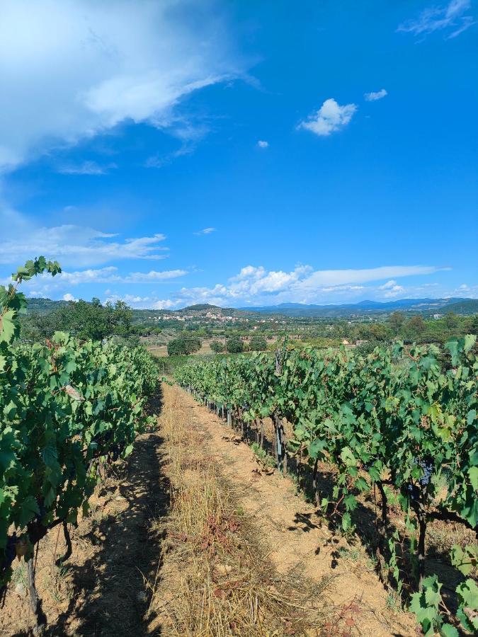Agriturismo Colle Vento Suvereto Bagian luar foto