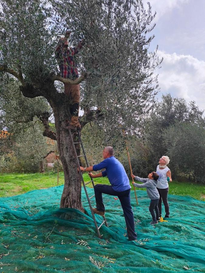 Agriturismo Colle Vento Suvereto Bagian luar foto