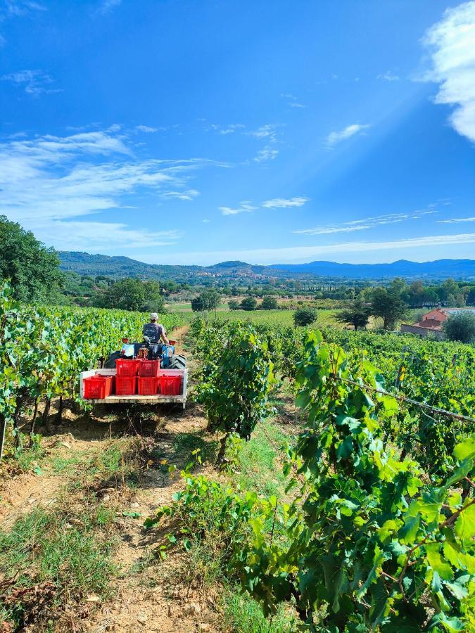 Agriturismo Colle Vento Suvereto Bagian luar foto