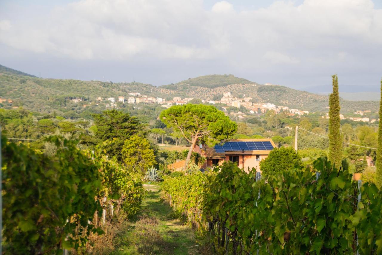 Agriturismo Colle Vento Suvereto Bagian luar foto